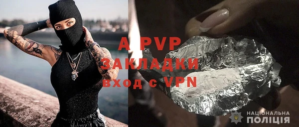 a pvp Бородино